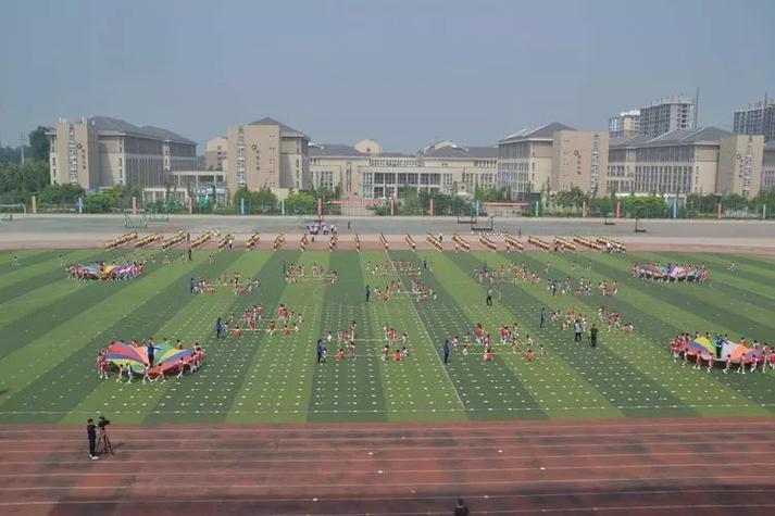 临漳县体育场直播间在哪的相关图片
